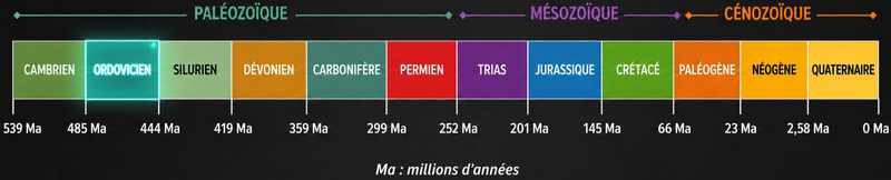 File:Image.png