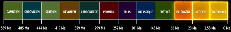 File:Phanerozoique-V-Cenozoique-Entete.png